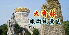 啊〜〜嗯〜轻一点大鸡巴进去了在线观看中国浙江-绍兴大香林旅游风景区